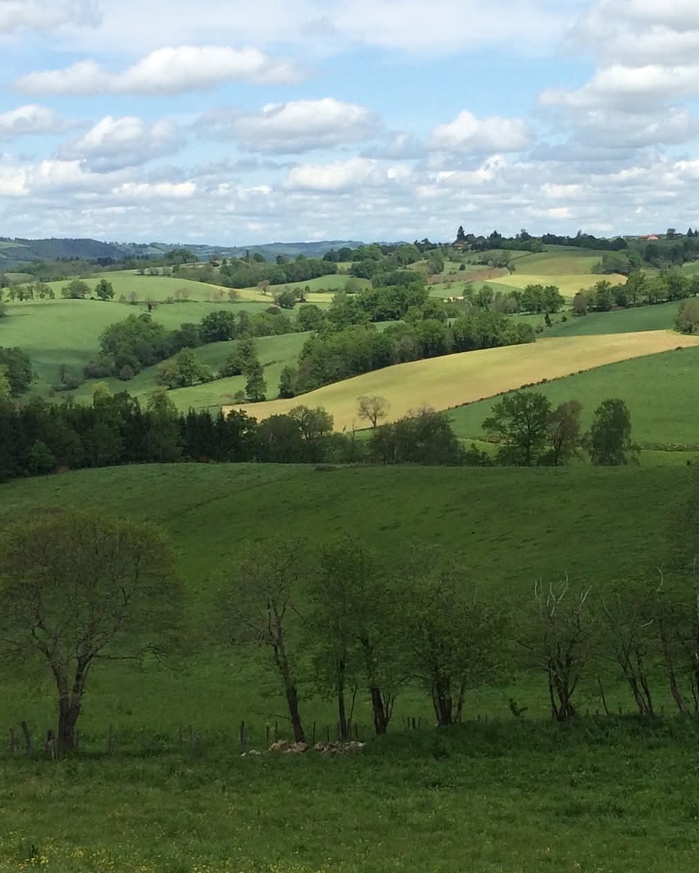 La Ruisselle View